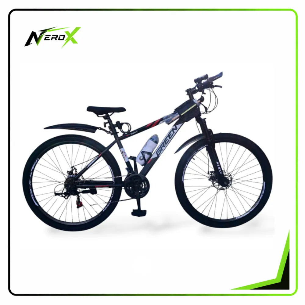 Bicicleta FLOW MTB R29 acero